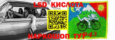 крисы Славянск-на-Кубани