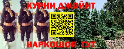 крисы Славянск-на-Кубани