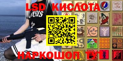 СК Славгород