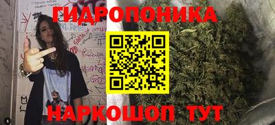 СК Славгород