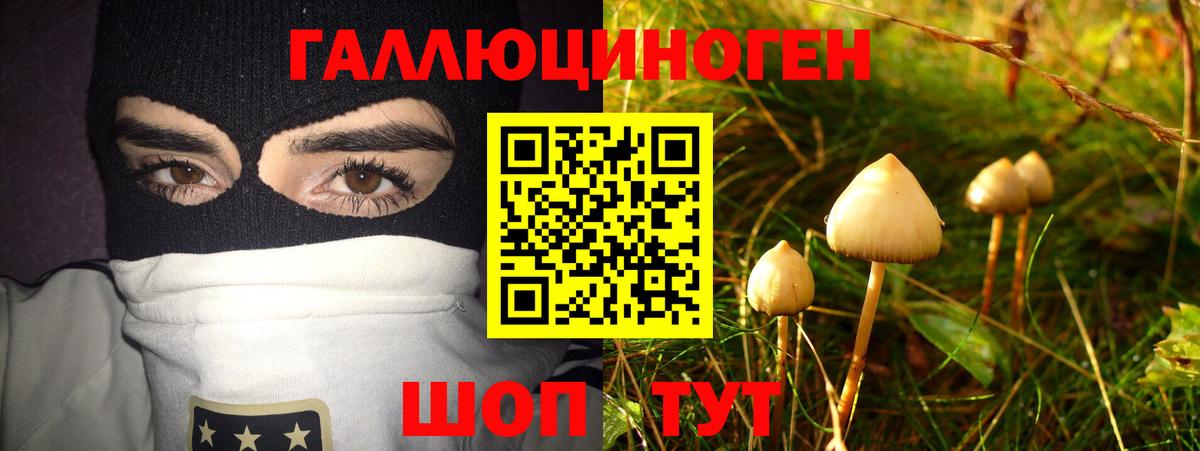 Сердобск  Галлюциногенные грибы мухоморы  Вход с VPN  Псилоцибиновые грибы MAGIC MUSHROOMS 